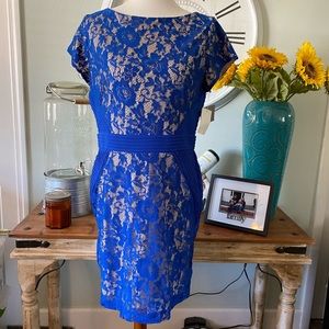 NWT! Cobalt blue lace dress with nude backing!
